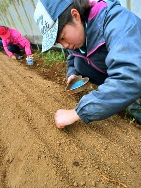 20250312_073024 20250312_073024