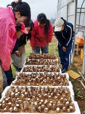 20250312_082853 20250312_082853