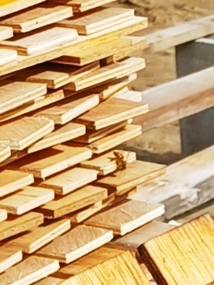 Screenshot_20250301_205849_Gallery