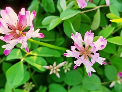 20250421_175059 - コピー