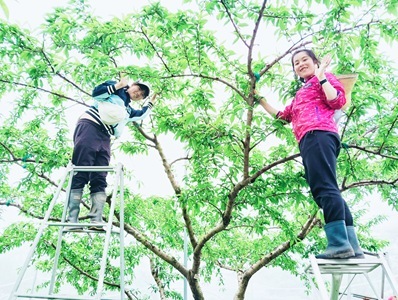 1IMG_20250511_170702