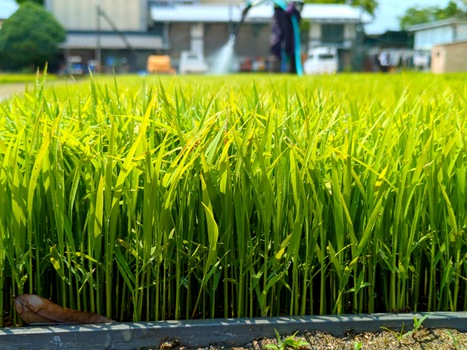 PXL_20250601_021141476