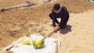 スクリーンショット 2025-08-03 17.51.18