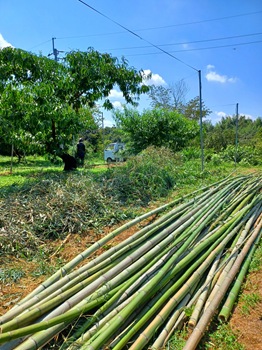 20250830_115521 20250830_115521