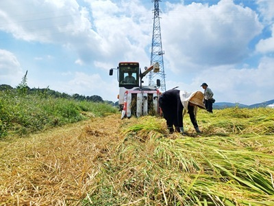 20250916_110603 20250916_110603