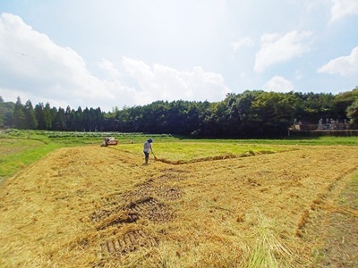 20250916_115556 20250916_115556