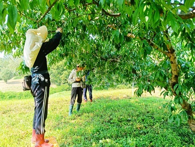 IMG20250831094634 IMG20250831094634