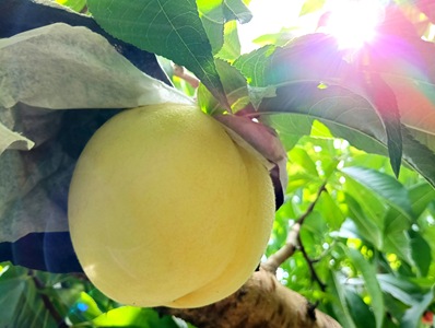 IMG20250907094855 IMG20250907094855