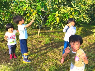 IMG_7749-1 IMG_7749-1