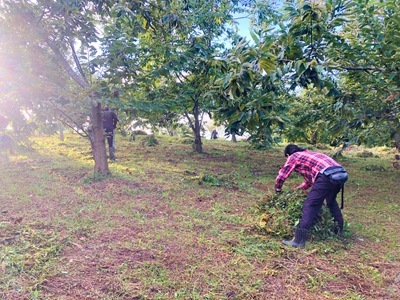 IMG_7766-1 IMG_7766-1