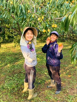 IMG_7789-1 IMG_7789-1