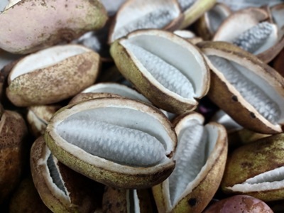 20251006_184619 20251006_184619