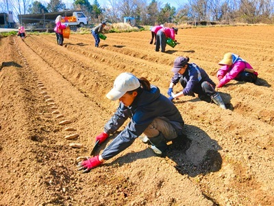 20260316_144410 20260316_144410