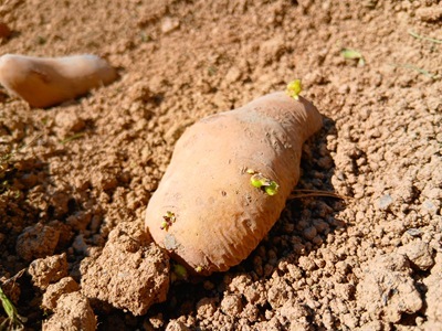 20260316_144456 20260316_144456