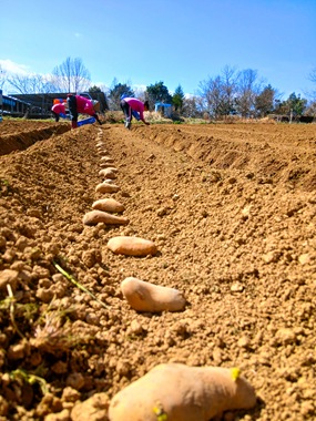 20260316_144511 20260316_144511