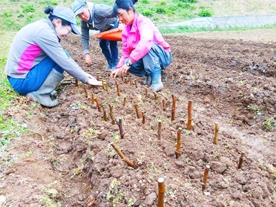 20260325_080233 20260325_080233