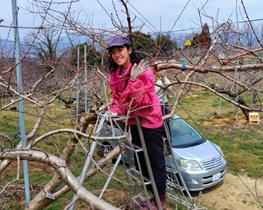 IMG_20260320_130037 IMG_20260320_130037