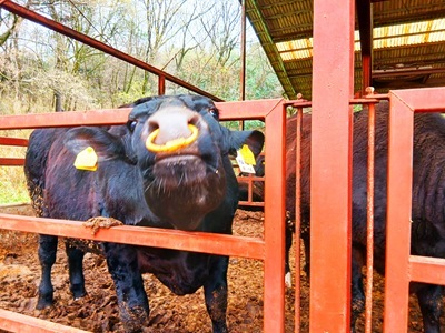 20260406_093109 20260406_093109