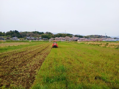 20260406_145255 20260406_145255