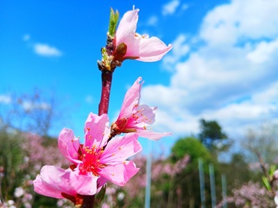 20260407_143354 20260407_143354