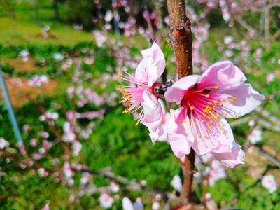 20260407_143433 20260407_143433