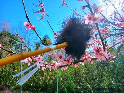 20260407_152029 20260407_152029