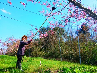 20260407_152056 20260407_152056