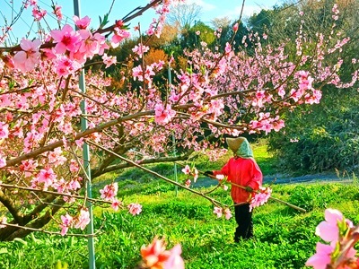 20260407_162755 20260407_162755