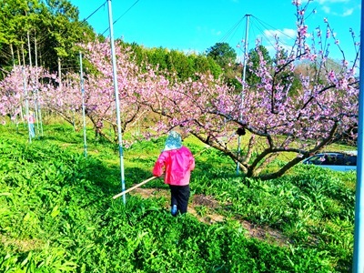 20260407_163039 20260407_163039