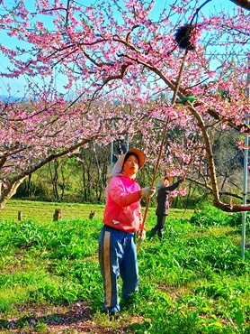 20260407_163146 20260407_163146