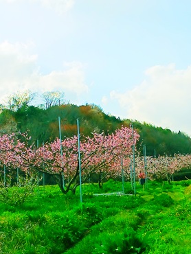 20260407_164625 20260407_164625