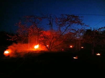 20260408_045720 20260408_045720