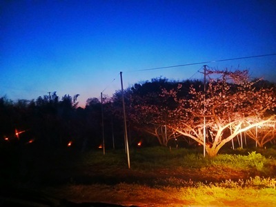 20260408_050245 20260408_050245