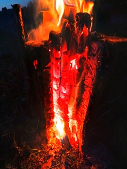 20260408_051217 20260408_051217