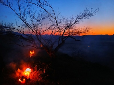 20260408_051520 20260408_051520